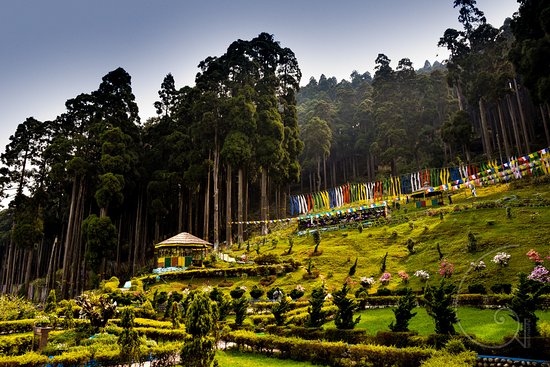 Darjeeling Lamahatta Mirik